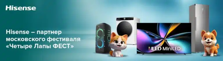 Hisense вновь выступит партнером московского фестиваля «Четыре Лапы ФЕСТ»